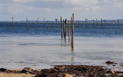 aabenraa-fjord