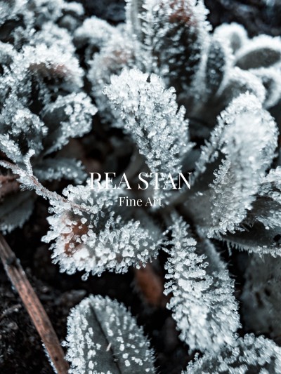 IMG_7097
