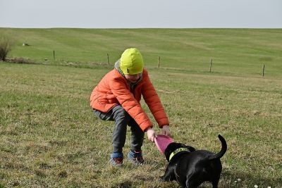 DSC_0217