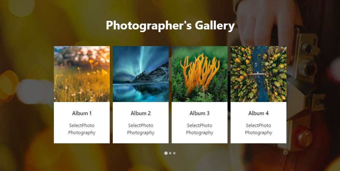 Gallery on SelectPhoto homepage
